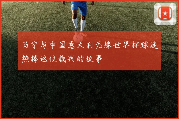 马宁与中国意大利无缘世界杯球迷热捧这位裁判的故事