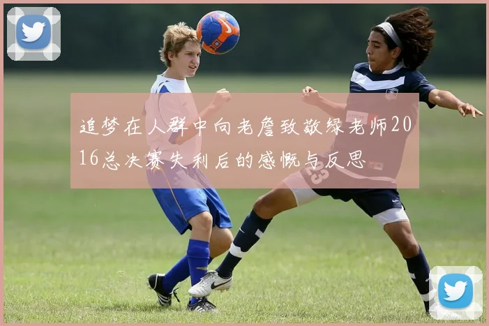 追梦在人群中向老詹致敬绿老师2016总决赛失利后的感慨与反思